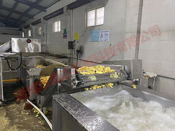 大姜加工流水線設(shè)備